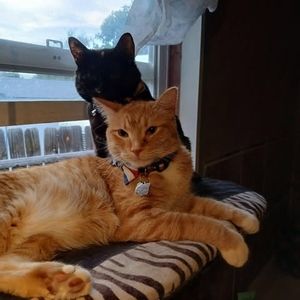 Meet your Posher, Frankandsandy